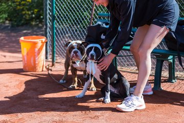Trainingstag am 20.4.19 1 - Training mit Carina